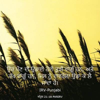 Picture 03 - ਅੱਯੂਬ 21:18 PANIRV - ਉਹ ਪੌਣ ਦੀ ਉਡਾਈ ਹੋਈ - Bible Verse Picture