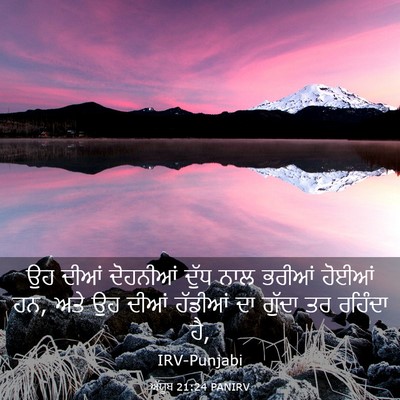 Picture 03 - ਅੱਯੂਬ 21:24 PANIRV - ਉਹ ਦੀਆਂ ਦੋਹਨੀਆਂ - Bible Verse Picture
