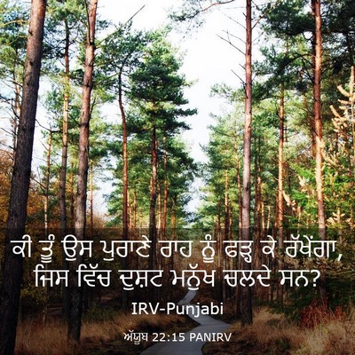 Picture 03 - ਅੱਯੂਬ 22:15 PANIRV - ਕੀ ਤੂੰ ਉਸ ਪੁਰਾਣੇ - Bible Verse Picture