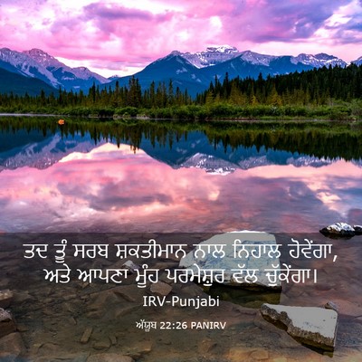 Picture 03 - ਅੱਯੂਬ 22:26 PANIRV - ਤਦ ਤੂੰ ਸਰਬ - Bible Verse Picture