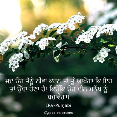 Picture 03 - ਅੱਯੂਬ 22:29 PANIRV - ਜਦ ਉਹ ਤੈਨੂੰ ਨੀਵਾਂ - Bible Verse Picture