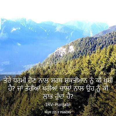 Picture 03 - ਅੱਯੂਬ 22:3 PANIRV - ਤੇਰੇ ਧਰਮੀ ਹੋਣ ਨਾਲ - Bible Verse Picture
