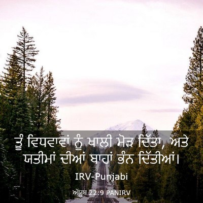 Picture 03 - ਅੱਯੂਬ 22:9 PANIRV - ਤੂੰ ਵਿਧਵਾਵਾਂ ਨੂੰ - Bible Verse Picture