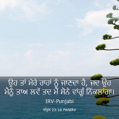 Picture 03 - ਅੱਯੂਬ 23:10 PANIRV - ਉਹ ਤਾਂ ਮੇਰੇ ਰਾਹਾਂ - Bible Verse Picture