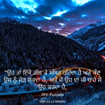Picture 03 - ਅੱਯੂਬ 23:13 PANIRV - “ਉਹ ਤਾਂ ਇੱਕੋ ਗੱਲ ਤੇ - Bible Verse Picture