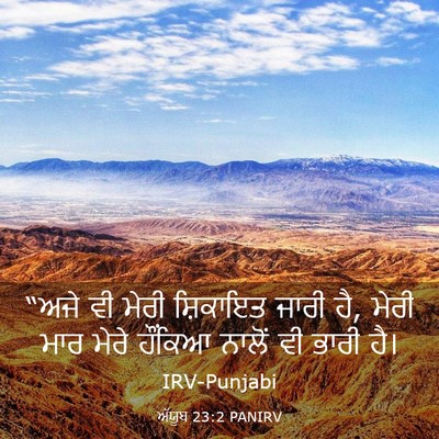 Picture 03 - ਅੱਯੂਬ 23:2 PANIRV - “ਅਜੇ ਵੀ ਮੇਰੀ - Bible Verse Picture
