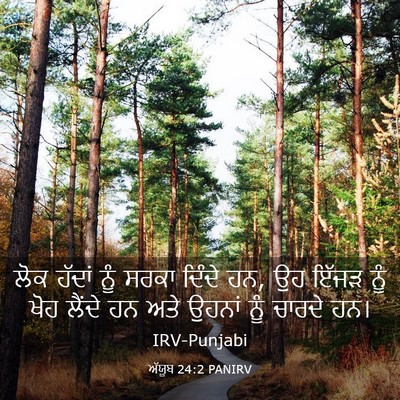 Picture 03 - ਅੱਯੂਬ 24:2 PANIRV - ਲੋਕ ਹੱਦਾਂ ਨੂੰ ਸਰਕਾ - Bible Verse Picture
