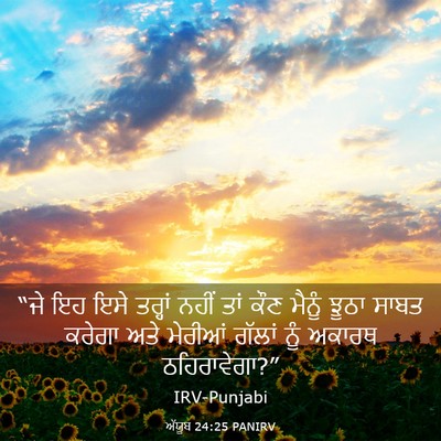 Picture 03 - ਅੱਯੂਬ 24:25 PANIRV - “ਜੇ ਇਹ ਇਸੇ ਤਰ੍ਹਾਂ - Bible Verse Picture