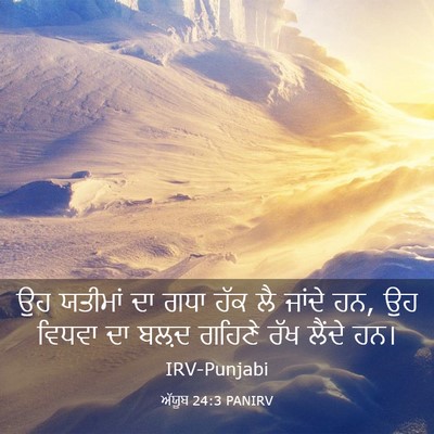 Picture 03 - ਅੱਯੂਬ 24:3 PANIRV - ਉਹ ਯਤੀਮਾਂ ਦਾ ਗਧਾ - Bible Verse Picture