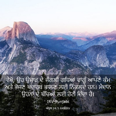 Picture 03 - ਅੱਯੂਬ 24:5 PANIRV - ਵੇਖੋ, ਉਹ ਉਜਾੜ ਦੇ - Bible Verse Picture