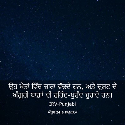 Picture 03 - ਅੱਯੂਬ 24:6 PANIRV - ਉਹ ਖੇਤਾਂ ਵਿੱਚ ਚਾਰਾ - Bible Verse Picture