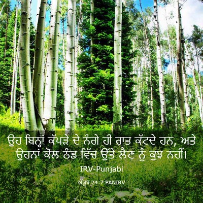 Picture 03 - ਅੱਯੂਬ 24:7 PANIRV - ਉਹ ਬਿਨ੍ਹਾਂ ਕੱਪੜੇ - Bible Verse Picture