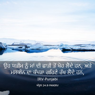 Picture 03 - ਅੱਯੂਬ 24:9 PANIRV - ਉਹ ਯਤੀਮ ਨੂੰ ਮਾਂ ਦੀ - Bible Verse Picture