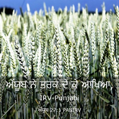 Picture 03 - ਅੱਯੂਬ 27:1 PANIRV - ਅੱਯੂਬ ਨੇ ਤਰਕ ਦੇ ਕੇ - Bible Verse Picture