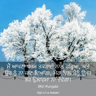 Picture 03 - ਅੱਯੂਬ 27:6 PANIRV - ਮੈਂ ਆਪਣਾ ਧਰਮ ਤਕੜਾਈ - Bible Verse Picture