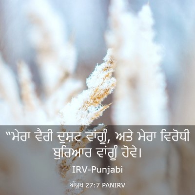 Picture 03 - ਅੱਯੂਬ 27:7 PANIRV - “ਮੇਰਾ ਵੈਰੀ ਦੁਸ਼ਟ - Bible Verse Picture