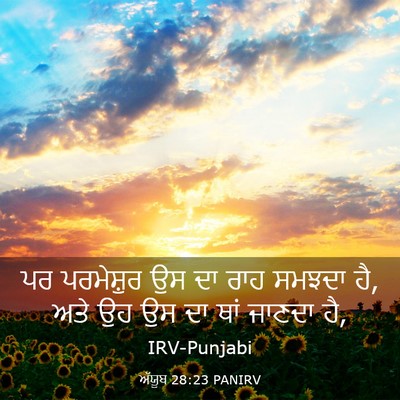 Picture 03 - ਅੱਯੂਬ 28:23 PANIRV - ਪਰ ਪਰਮੇਸ਼ੁਰ ਉਸ ਦਾ - Bible Verse Picture