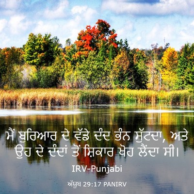 Picture 03 - ਅੱਯੂਬ 29:17 PANIRV - ਮੈਂ ਬੁਰਿਆਰ ਦੇ ਵੱਡੇ - Bible Verse Picture