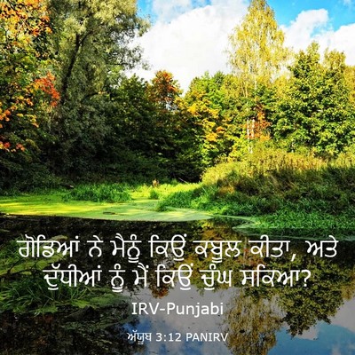 Picture 03 - ਅੱਯੂਬ 3:12 PANIRV - ਗੋਡਿਆਂ ਨੇ ਮੈਨੂੰ - Bible Verse Picture