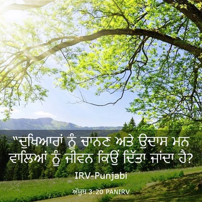 Picture 03 - ਅੱਯੂਬ 3:20 PANIRV - “ਦੁਖਿਆਰਾਂ ਨੂੰ - Bible Verse Picture