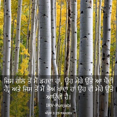 Picture 03 - ਅੱਯੂਬ 3:25 PANIRV - ਜਿਸ ਗੱਲ ਤੋਂ ਮੈਂ - Bible Verse Picture
