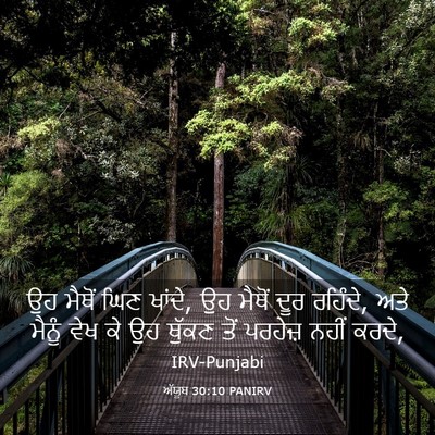 Picture 03 - ਅੱਯੂਬ 30:10 PANIRV - ਉਹ ਮੈਥੋਂ ਘਿਣ ਖਾਂਦੇ, - Bible Verse Picture