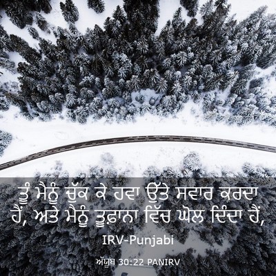 Picture 03 - ਅੱਯੂਬ 30:22 PANIRV - ਤੂੰ ਮੈਨੂੰ ਚੁੱਕ ਕੇ - Bible Verse Picture