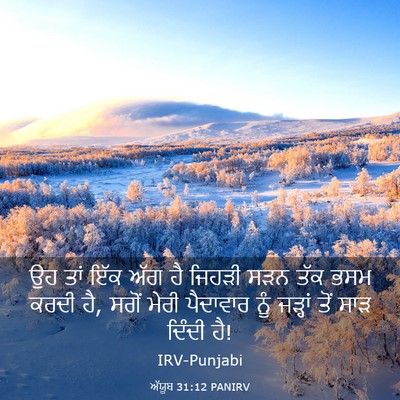 Picture 03 - ਅੱਯੂਬ 31:12 PANIRV - ਉਹ ਤਾਂ ਇੱਕ ਅੱਗ ਹੈ - Bible Verse Picture