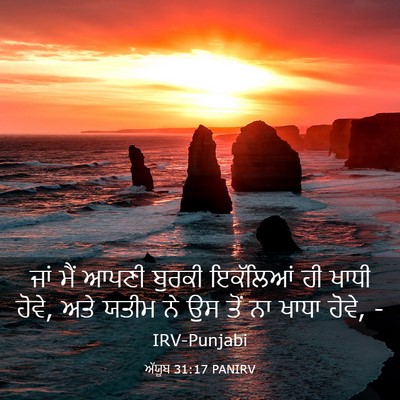 Picture 03 - ਅੱਯੂਬ 31:17 PANIRV - ਜਾਂ ਮੈਂ ਆਪਣੀ ਬੁਰਕੀ - Bible Verse Picture