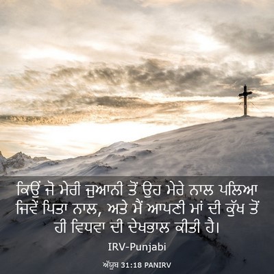 Picture 03 - ਅੱਯੂਬ 31:18 PANIRV - ਕਿਉਂ ਜੋ ਮੇਰੀ ਜੁਆਨੀ - Bible Verse Picture