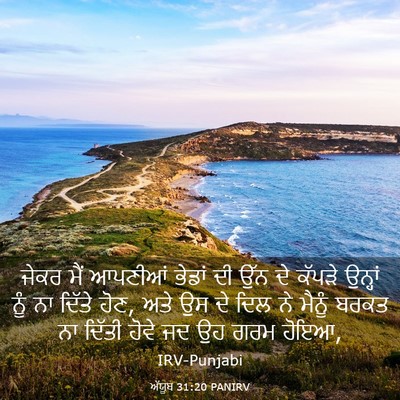 Picture 03 - ਅੱਯੂਬ 31:20 PANIRV - ਜੇਕਰ ਮੈਂ ਆਪਣੀਆਂ - Bible Verse Picture