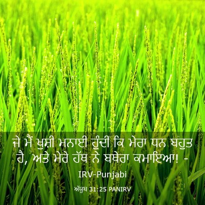 Picture 03 - ਅੱਯੂਬ 31:25 PANIRV - ਜੇ ਮੈਂ ਖੁਸ਼ੀ ਮਨਾਈ - Bible Verse Picture