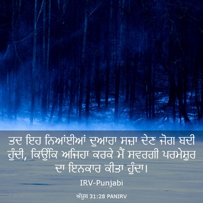 Picture 03 - ਅੱਯੂਬ 31:28 PANIRV - ਤਦ ਇਹ ਨਿਆਂਈਆਂ - Bible Verse Picture