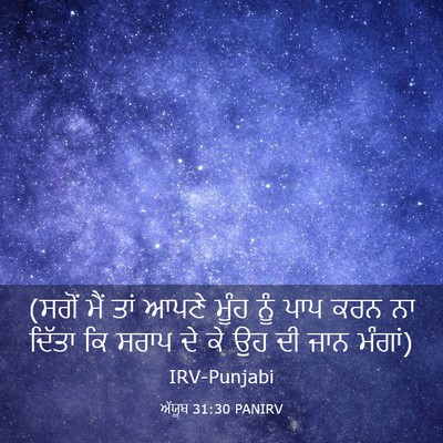 Picture 03 - ਅੱਯੂਬ 31:30 PANIRV - (ਸਗੋਂ ਮੈਂ ਤਾਂ ਆਪਣੇ - Bible Verse Picture