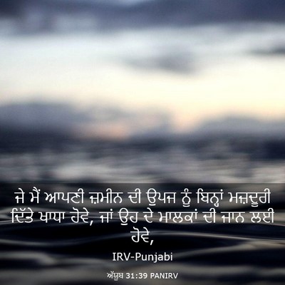 Picture 03 - ਅੱਯੂਬ 31:39 PANIRV - ਜੇ ਮੈਂ ਆਪਣੀ ਜ਼ਮੀਨ - Bible Verse Picture
