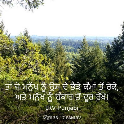 Picture 03 - ਅੱਯੂਬ 33:17 PANIRV - ਤਾਂ ਜੋ ਮਨੁੱਖ ਨੂੰ ਉਸ - Bible Verse Picture