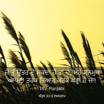 Picture 03 - ਅੱਯੂਬ 33:5 PANIRV - ਜੇ ਤੂੰ ਉੱਤਰ ਦੇ ਸਕਦਾ - Bible Verse Picture