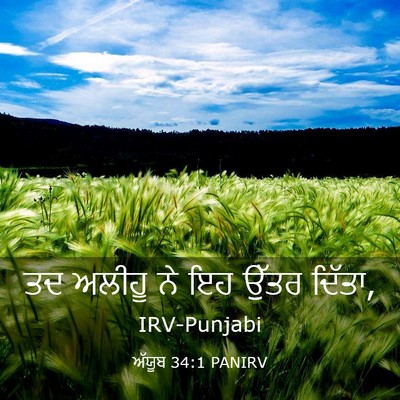 Picture 03 - ਅੱਯੂਬ 34:1 PANIRV - ਤਦ ਅਲੀਹੂ ਨੇ ਇਹ ਉੱਤਰ - Bible Verse Picture