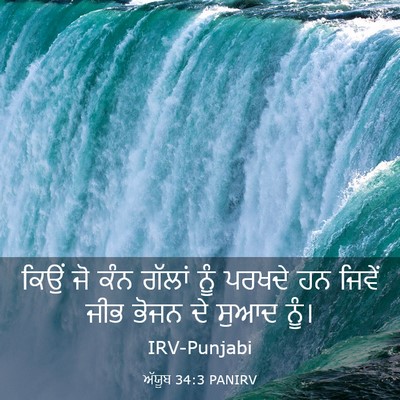 Picture 03 - ਅੱਯੂਬ 34:3 PANIRV - ਕਿਉਂ ਜੋ ਕੰਨ ਗੱਲਾਂ - Bible Verse Picture