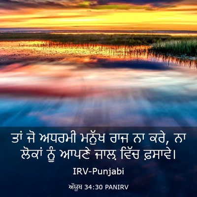 Picture 03 - ਅੱਯੂਬ 34:30 PANIRV - ਤਾਂ ਜੋ ਅਧਰਮੀ ਮਨੁੱਖ - Bible Verse Picture