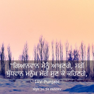 Picture 03 - ਅੱਯੂਬ 34:34 PANIRV - “ਗਿਆਨਵਾਨ ਮੈਨੂੰ - Bible Verse Picture