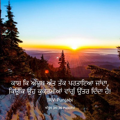 Picture 03 - ਅੱਯੂਬ 34:36 PANIRV - ਕਾਸ਼ ਕਿ ਅੱਯੂਬ ਅੰਤ - Bible Verse Picture