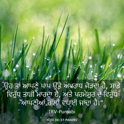 Picture 03 - ਅੱਯੂਬ 34:37 PANIRV - ਉਹ ਤਾਂ ਆਪਣੇ ਪਾਪ - Bible Verse Picture