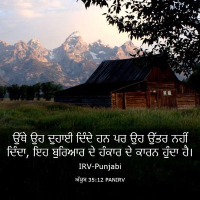Picture 03 - ਅੱਯੂਬ 35:12 PANIRV - ਉੱਥੇ ਉਹ ਦੁਹਾਈ - Bible Verse Picture