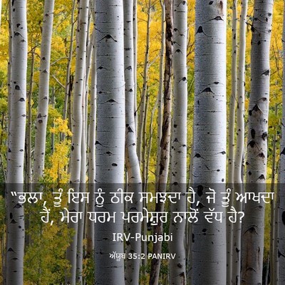 Picture 03 - ਅੱਯੂਬ 35:2 PANIRV - “ਭਲਾ, ਤੂੰ ਇਸ ਨੂੰ - Bible Verse Picture