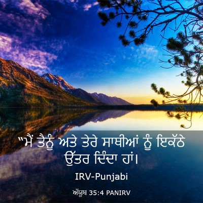 Picture 03 - ਅੱਯੂਬ 35:4 PANIRV - “ਮੈਂ ਤੈਨੂੰ ਅਤੇ - Bible Verse Picture
