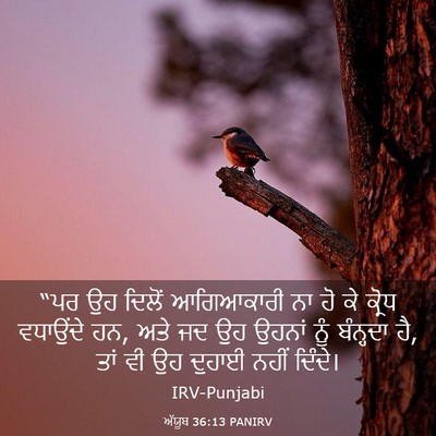 Picture 03 - ਅੱਯੂਬ 36:13 PANIRV - “ਪਰ ਉਹ ਦਿਲੋਂ - Bible Verse Picture