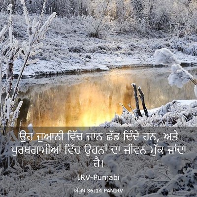 Picture 03 - ਅੱਯੂਬ 36:14 PANIRV - ਉਹ ਜੁਆਨੀ ਵਿੱਚ ਜਾਨ - Bible Verse Picture