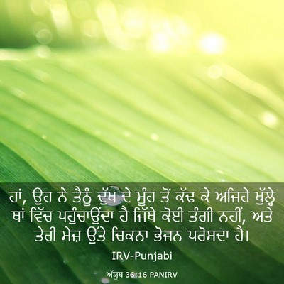 Picture 03 - ਅੱਯੂਬ 36:16 PANIRV - ਹਾਂ, ਉਹ ਨੇ ਤੈਨੂੰ - Bible Verse Picture