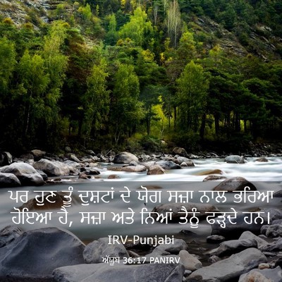 Picture 03 - ਅੱਯੂਬ 36:17 PANIRV - ਪਰ ਹੁਣ ਤੂੰ ਦੁਸ਼ਟਾਂ - Bible Verse Picture